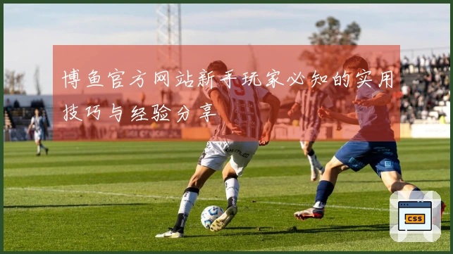 博鱼官方网站新手玩家必知的实用技巧与经验分享