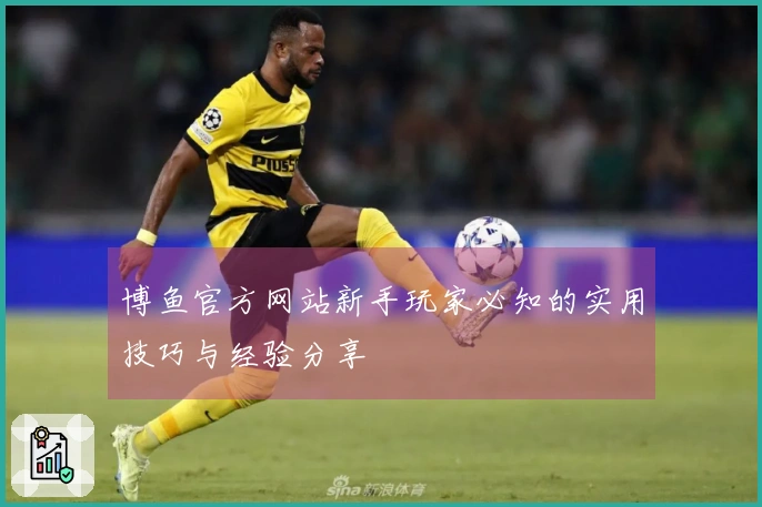 博鱼官方网站新手玩家必知的实用技巧与经验分享